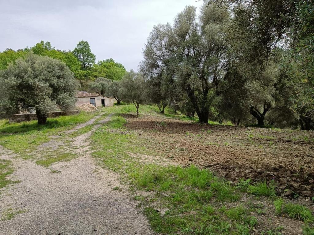 B&B Le Casette SantʼOnofrio Exterior foto